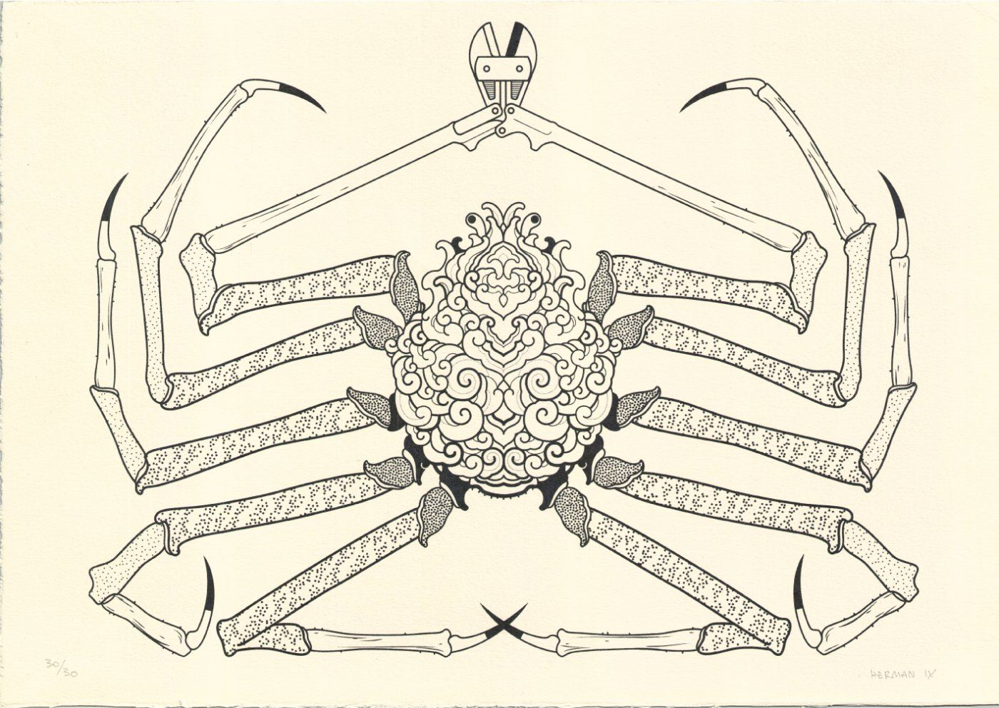 Герман IX (Графика печатная - 
                  50 x 35 см) Японский краб-паук