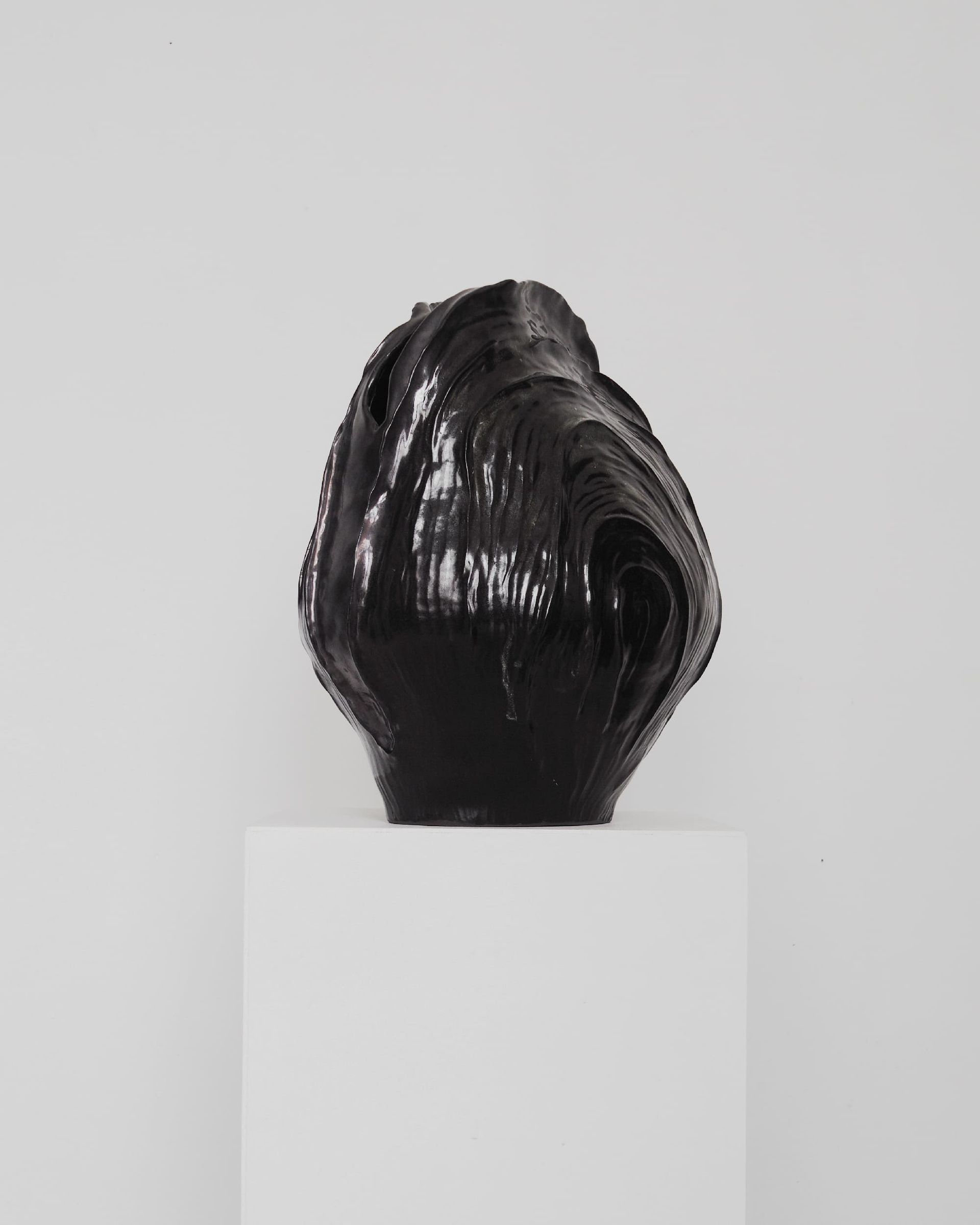 Анастасия Самсонова (Скульптура - 
                  34 x 40 см) Molluska 5'