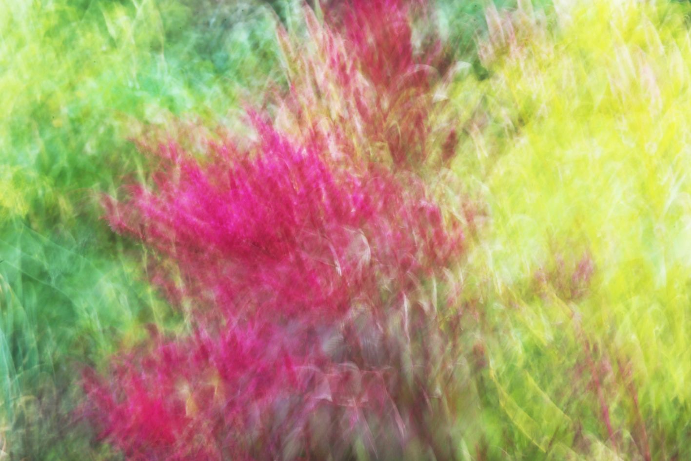 Татьяна Сенчило (Фотография - 
                  100 x 70 см) Из серии "Исчезнуть, замолчать, услышать"