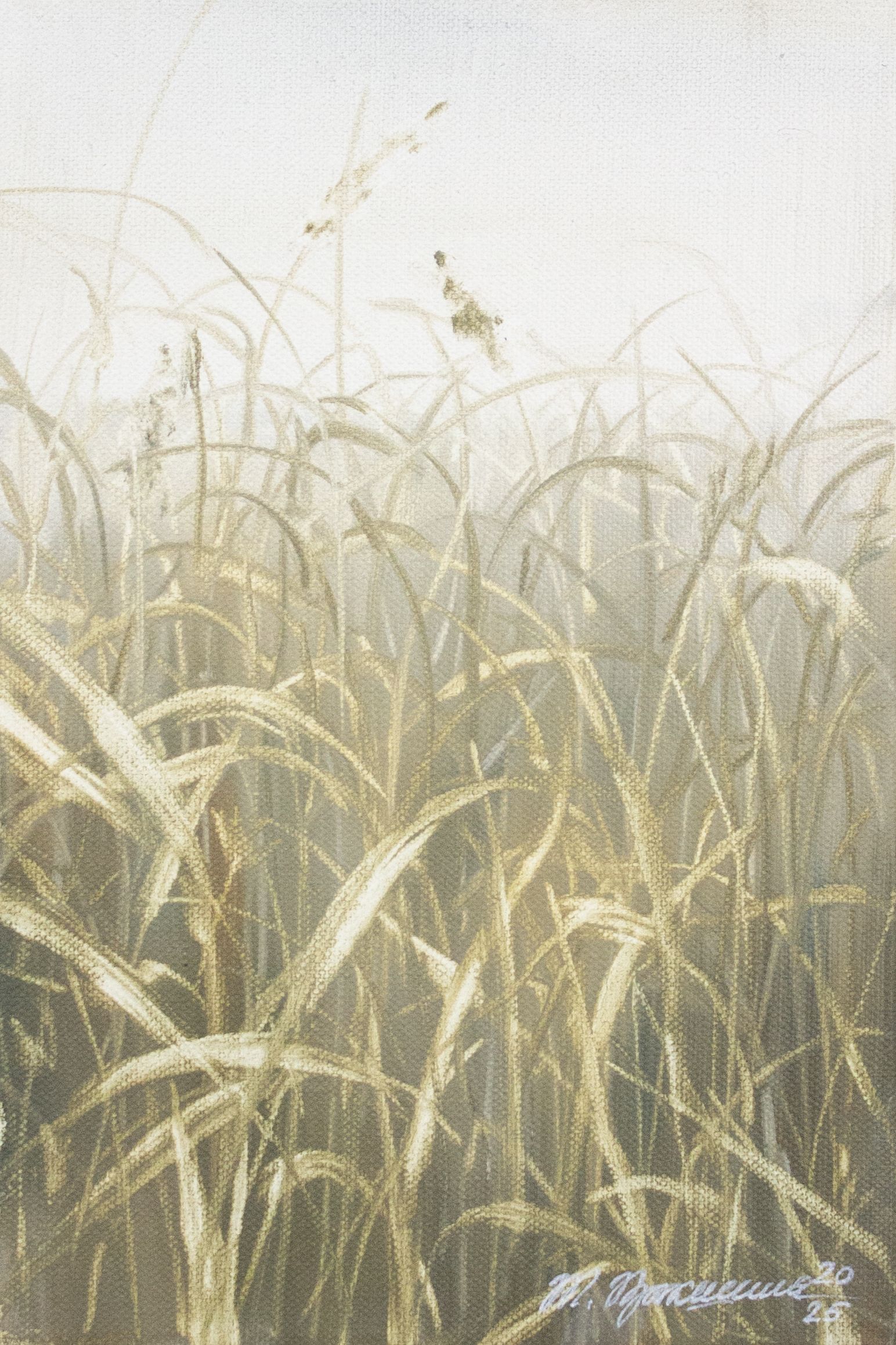 Татьяна Прокшина (Картина, живопись - 
                  20 x 30 см) Миниатюра №47