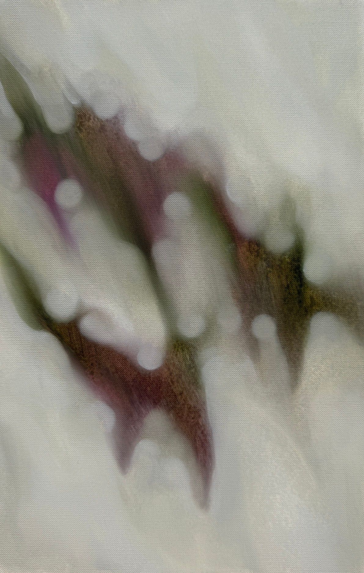 Инна Сумина (Авторская графика - 
                  24 x 36 см) Едва касаясь