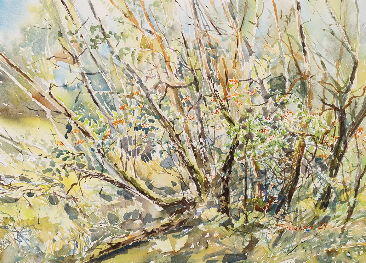 Юлия Третьякова (Авторская графика - 
                  54 x 38.7 см) Лес на Куршской косе