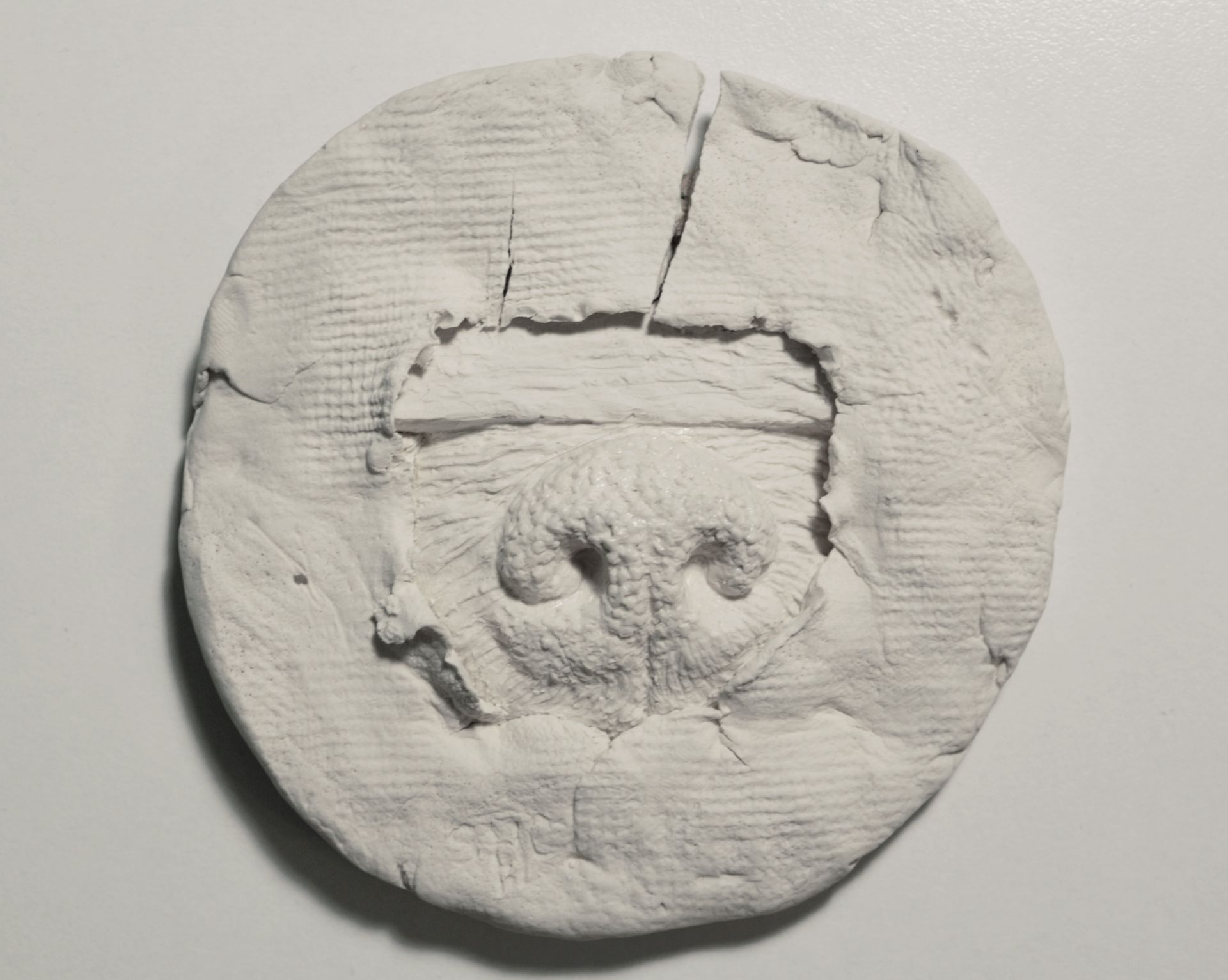 Егор Щаблыкин (Объект - 
                  11.5 x 11.5 см) Запах