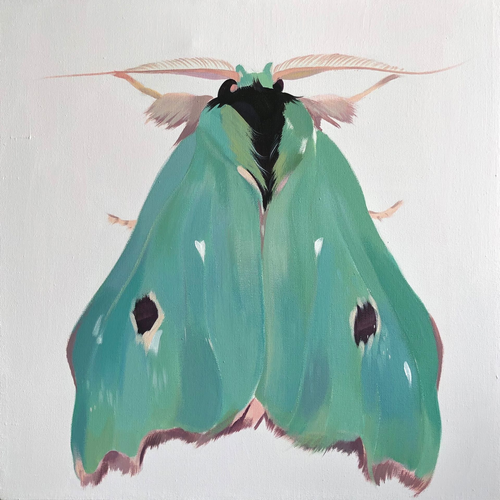Маша Лам (Картина, живопись - 
                  50 x 50 см) Зеленый Мотылек