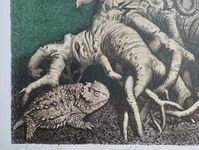 Денис Лотарев (Графика печатная - 
                  44.5 x 34.4 см) Корень алоэ