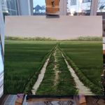 Мила Bezú (Картина, живопись - 
                  50 x 40 см) Rice fields in Vietnam