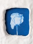 Таня Коатс (Графика печатная - 
                  19 x 22 см) Flower_1
