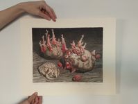 Денис Лотарев (Графика печатная - 
                  43 x 36 см) Клубень картофеля белого
