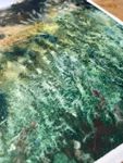 Жанна Губина (Авторская графика - 
                  36 x 56 см) На горизонте