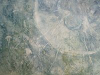 Анастасия Попова (Картина, живопись - 
                  140 x 120 см) Портрет медузы