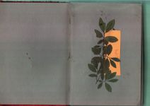 Антон Шульгин (Коллаж / ассамбляж - 
                  29.7 x 42 см) Русский альбом (Красный)