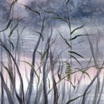 Алла Валежина (Авторская графика - 
                  30 x 42 см) Камышовка