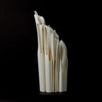 Юлия Низамутдинова (Cyberflora) (Объект - 
                  20 x 45 см) Ossis denti