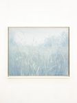 Татьяна Прокшина (Картина, живопись - 
                  50 x 40 см) Прозрачность