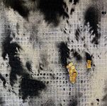 Анна Калугина (Объект - 
                  35 x 50 см) Золотые лучи