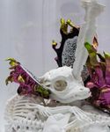 Андрей Шкарин (Скульптура - 
                  20 x 30 см) Из серии "Vanitas"