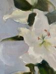 Валерия Привалихина (Картина, живопись - 
                  30 x 50 см) Лилии