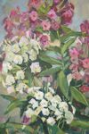 Елена Санина (Картина, живопись - 
                  33 x 42 см) Флоксы