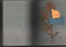 Антон Шульгин (Коллаж / ассамбляж - 
                  29.7 x 42 см) Русский альбом (Красный)