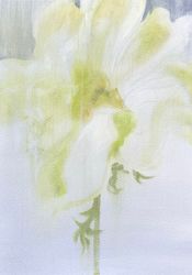 Лист / анемон II