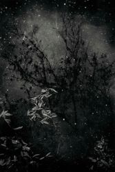 Отражение осени