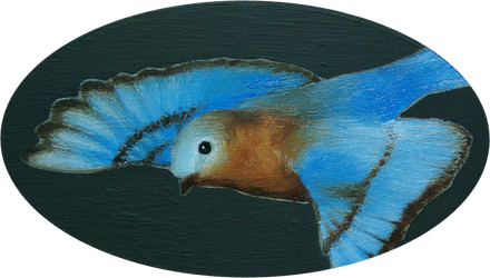 Парящая мечта