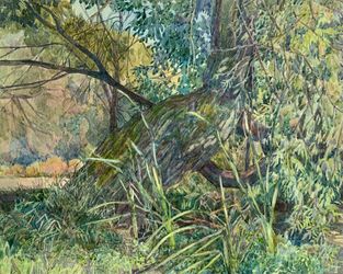 Этюд. Дерево