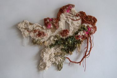 Метасукцессия