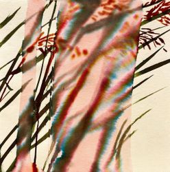 Ink Flowers no. 7