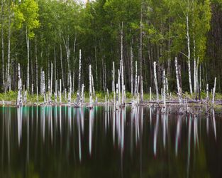 Вода и металлы II