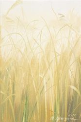 Миниатюра 70