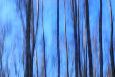 Из серии "Исчезнуть, замолчать, услышать"