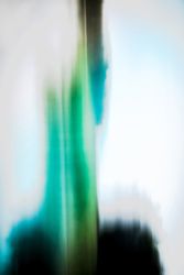 Из серии "Исчезнуть, замолчать, услышать"