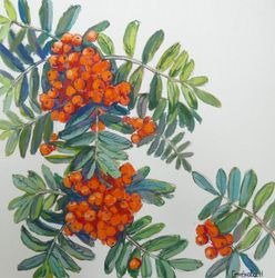 Рябина