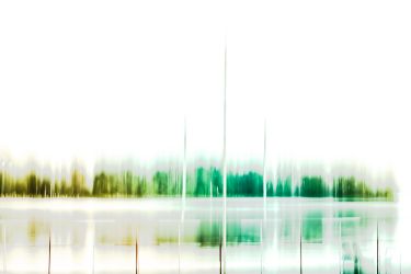 Из серии "Исчезнуть, замолчать, услышать"