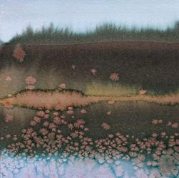 Тихое утро I