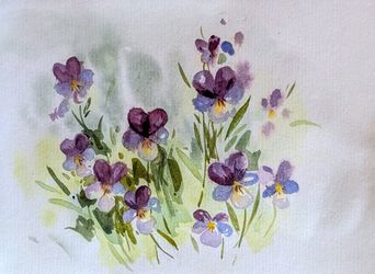 Анютины глазки с Оленьего мыса