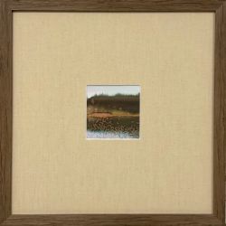 Тихое утро I