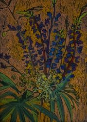 Полевые цветы