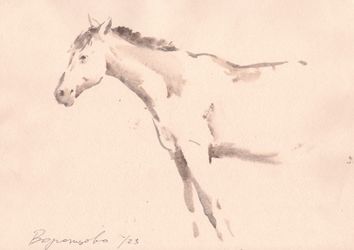 Дымка воспоминаний