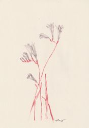 Fleur 03