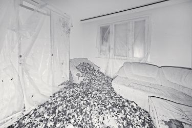 Ирина Иванникова. Ремонт IX. 30х45