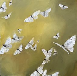 Послания на крыльях бабочек