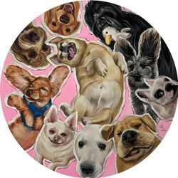 #Insta dogs