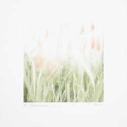 Светлый коралл (этюд)