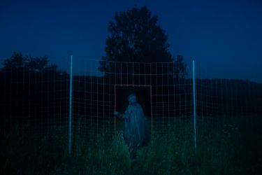 Евгений Молодцов. Вепсский лес III