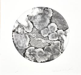 Из серии "Постоянство" N4