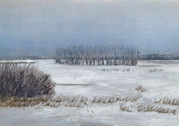 Winter field