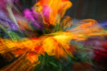 Из проекта "Растите мои цветы..."