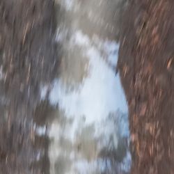 "ПРОСТРАНСТВО ТИШИНЫ" из проекта "Исчезнуть, замолчать, услышать"